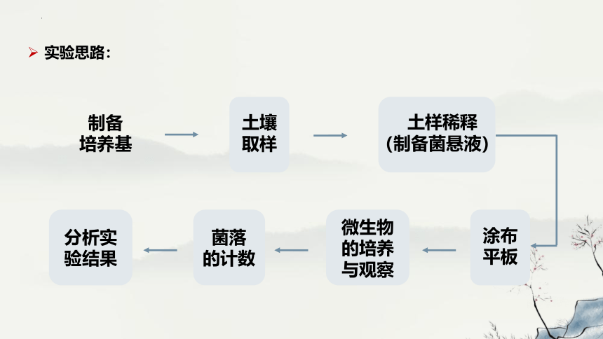 1.2.2土壤中分解尿素的细菌的分离与计数课件(共27张PPT)-人教版选择性必修3