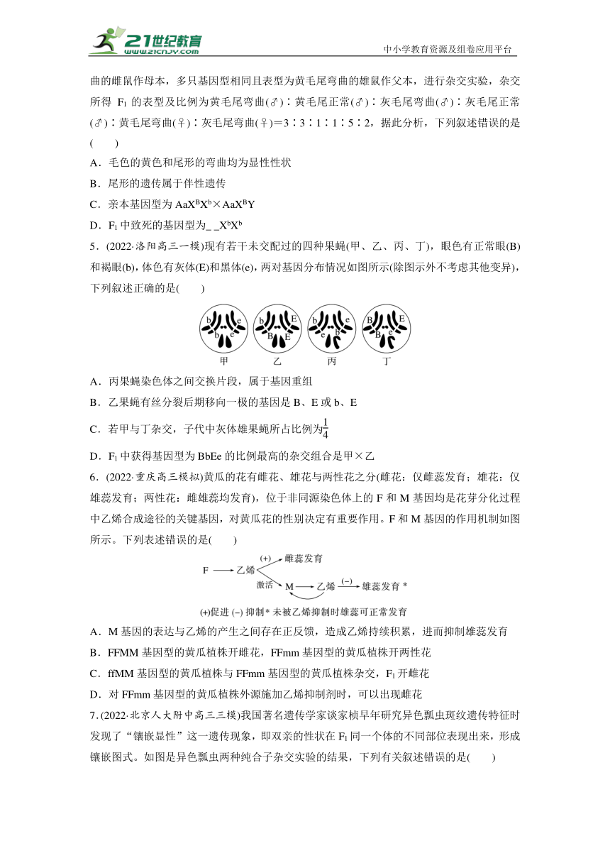 高考生物二轮专题强化训练6　遗传的基本规律和人类遗传病（含解析）