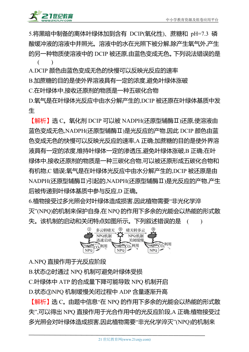 【备考2023】高考生物一轮复习同步检测：9 捕获光能的色素和结构、光合作用的原理（含解析）