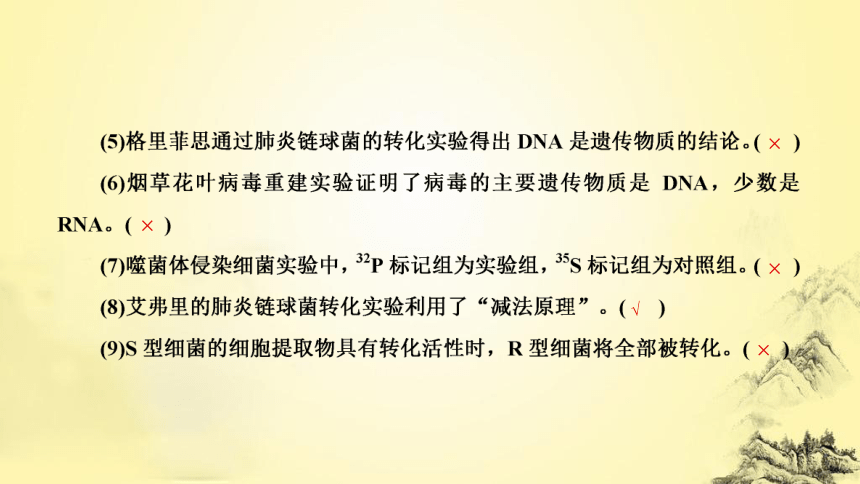 新人教生物二轮复习课件7 遗传的分子基础(课件共72张PPT)