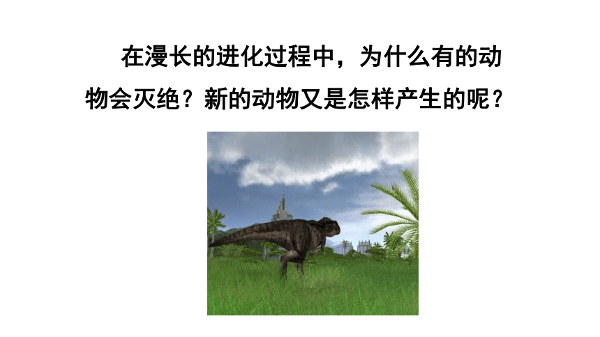 7.3.3 生物进化的原因课件(共76张PPT)