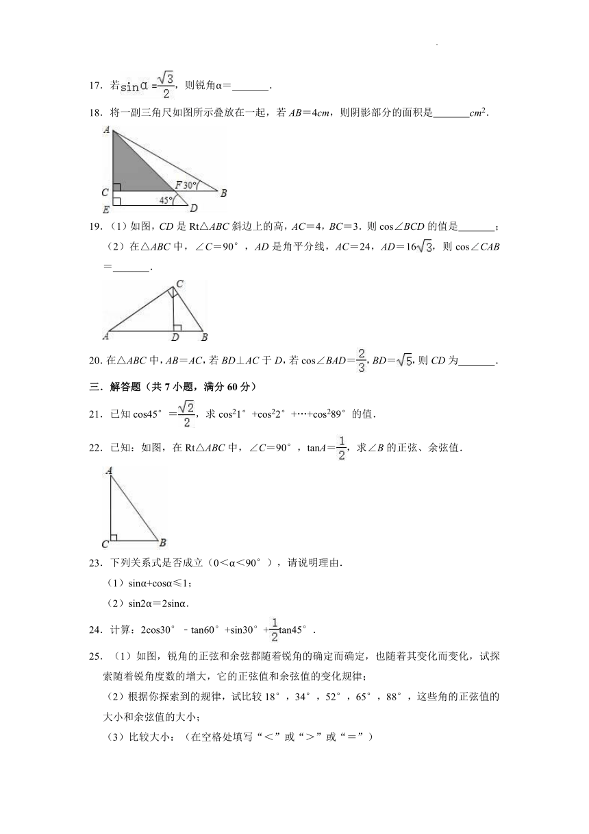 2021-2022学年人教版（五四制）九年级数学下册第34章锐角三角函数单元测试（Word版含答案）