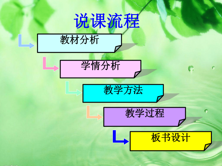 冀少版八年级生物上册  5.1.1  细菌    说课课件（共38张PPT）