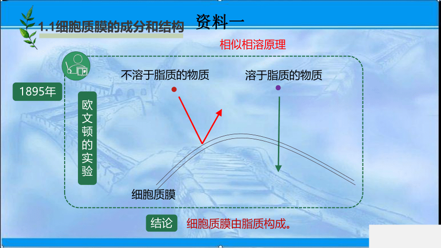 2020-2021学年苏教版（2019）高中生物： 必修1  2.2.1 细胞质膜将细胞与外界环境分开 课件（27张ppt）