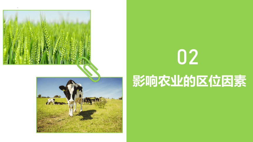 3.1 农业区位因素 (共42张PPT)