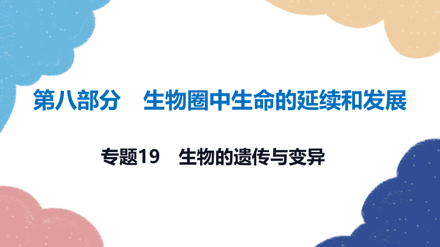 2023年中考生物复习 专题19　生物的遗传与变异习题课件（共17张PPT）