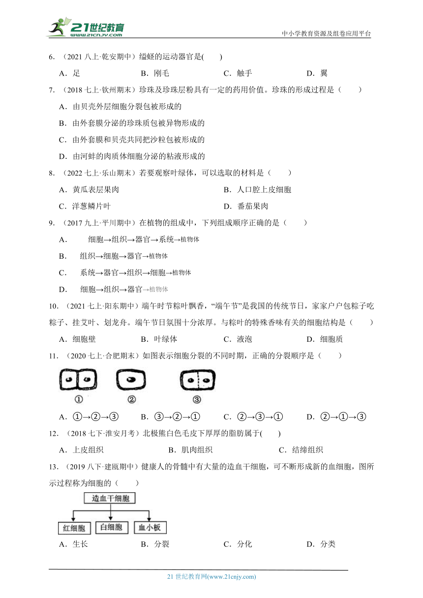 苏科版生物2023年春期七年级期中测试题（含解析）