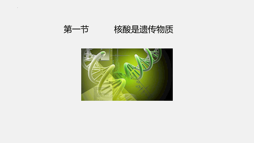 2021-2022学年高一生物浙科版（2019）必修2第三章第一节核酸是遗传物质（课件）（36张ppt）