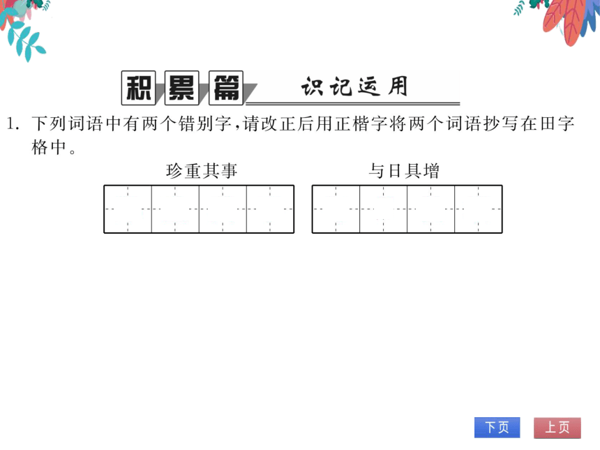 【统编版】语文九年级上册 16 我的叔叔于勒 习题课件（通用版）