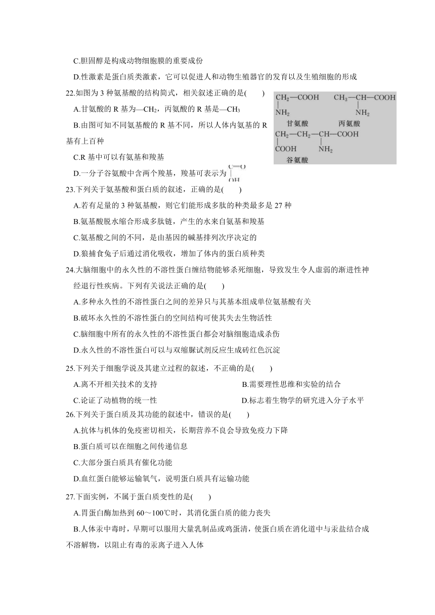 河北省唐山市第十一高级中学校2021-2022学年高一上学期期中考试生物试卷（Word版含答案）