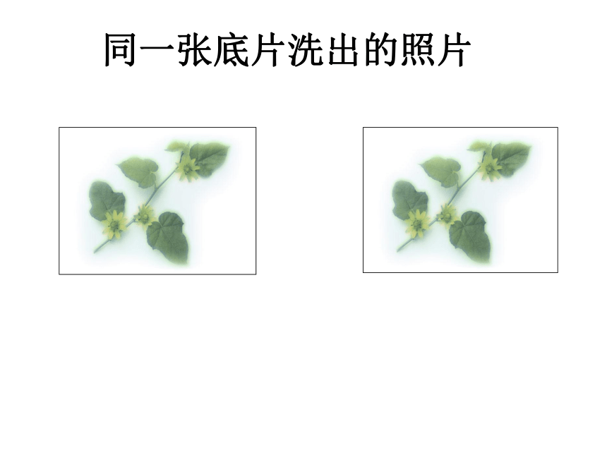 华东师大版数学八年级上册 13.2.2 全等三角形的判定条件 课件(共32张PPT)