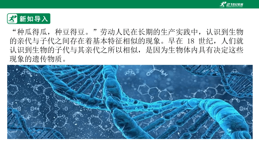 济南版4.4.1 遗传的物质基础-2022-2023学年八年级生物上册同步课件（含30张ppt）