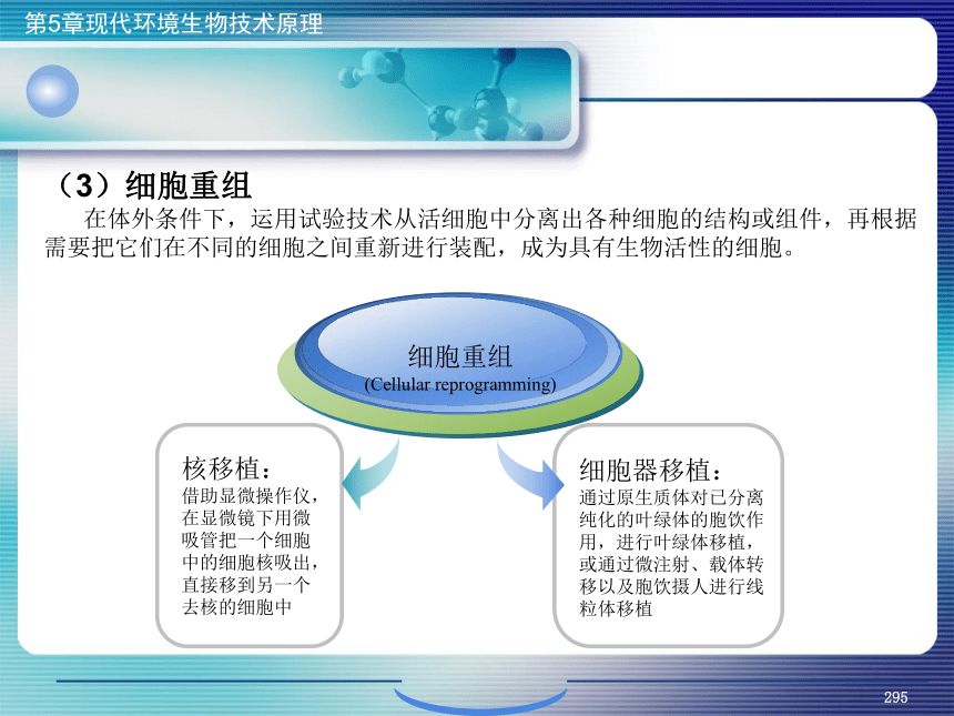 5.现代环境生物技术原理_11 课件(共29张PPT)- 《环境生物化学》同步教学（机工版·2020）