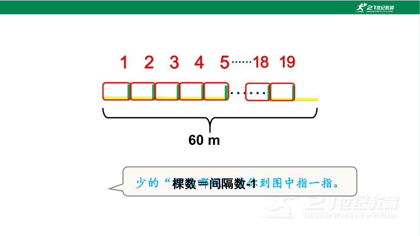 新人教版数学五年级上册7.2.植树问题（2）课件(20张PPT)