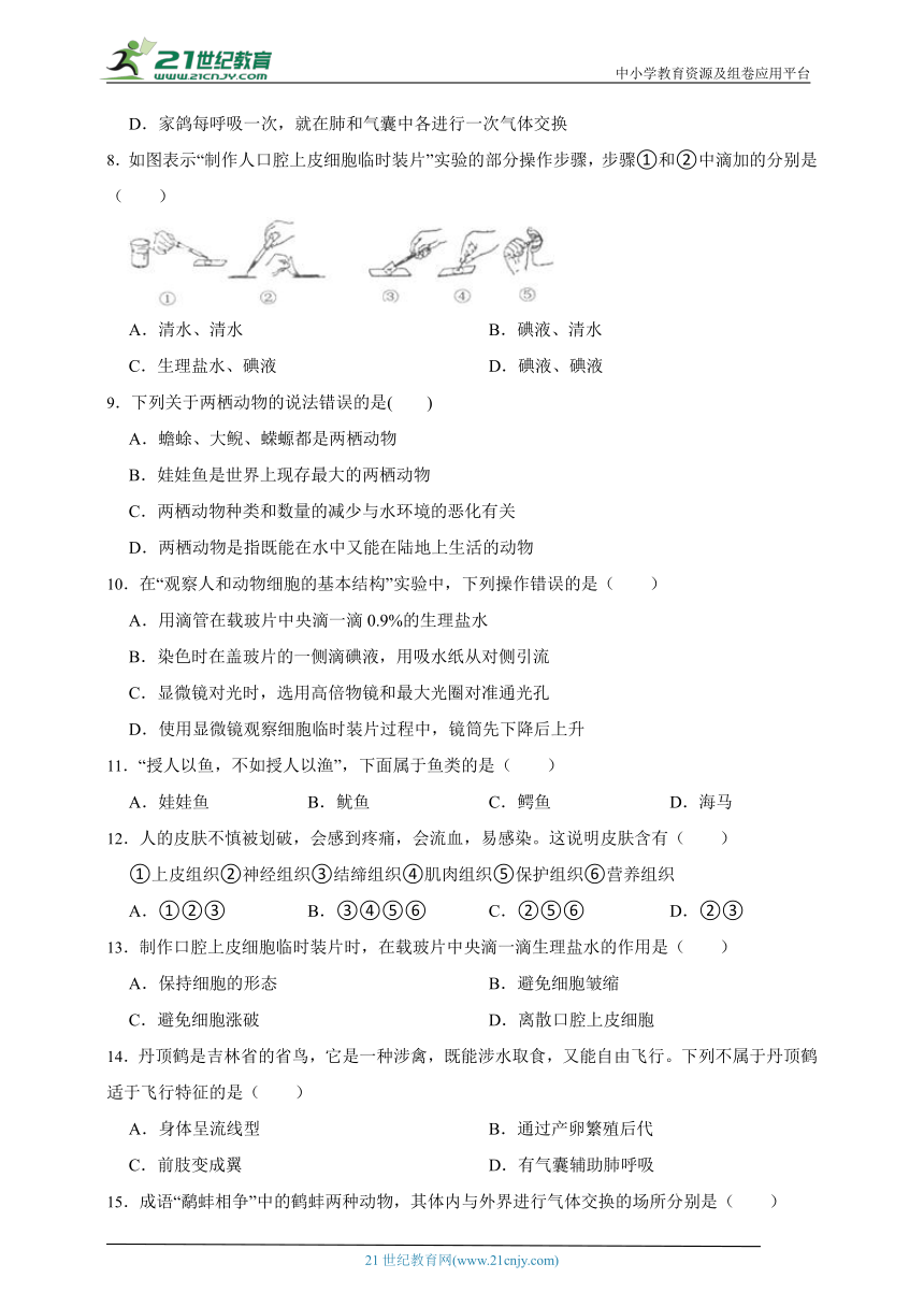 苏科版生物2023年七下期末测试题（含解析）