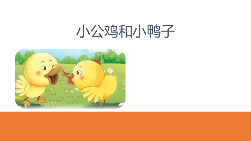 4小公鸡和小鸭子 课件(共20张PPT)