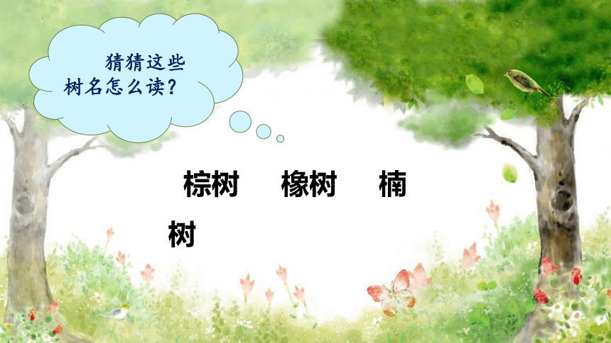 2树之歌（课件）(共41张PPT)