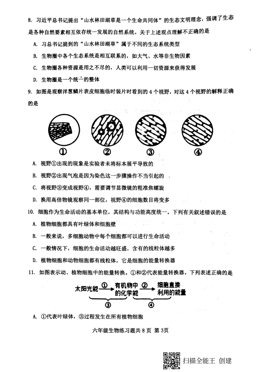 山东省泰安市岱岳区2021-2022学年六年级上学期期末考试生物试题（PDF版含答案）