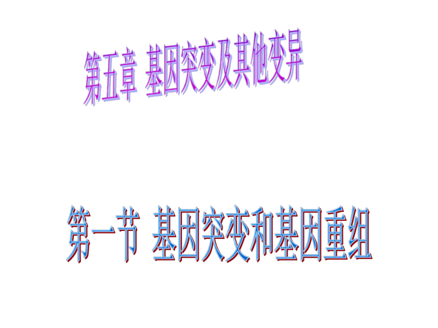 2021-2022学年高一下学期生物人教版必修2-5.1基因突变和基因重组课件(共24张PPT)