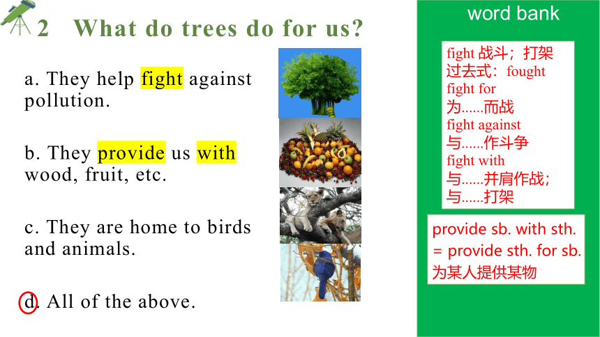Unit 4 Save the trees Reading 课件(共50张PPT)
