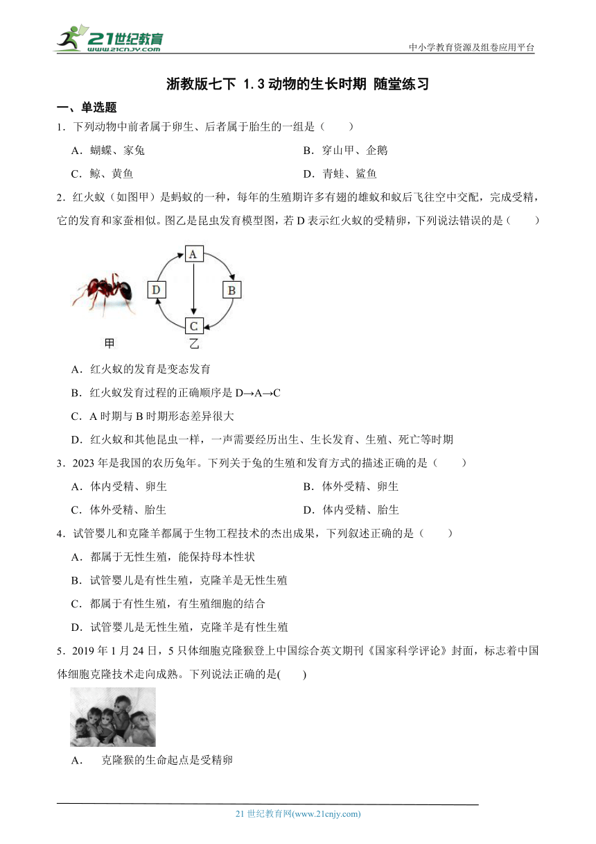 浙教版七下 1.3动物的生长时期 随堂练习（含解析）