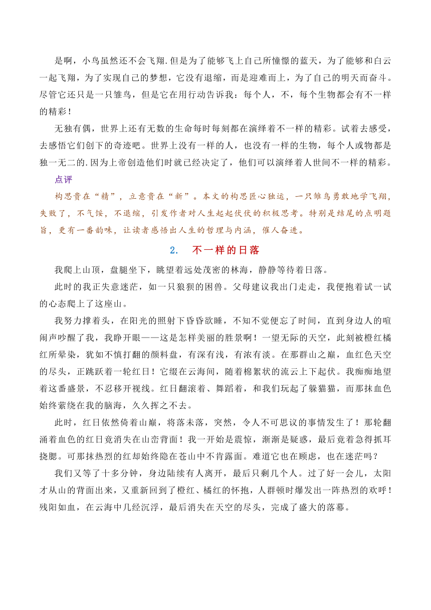 2024年中考作文预测及导写：不一样的____（学案）