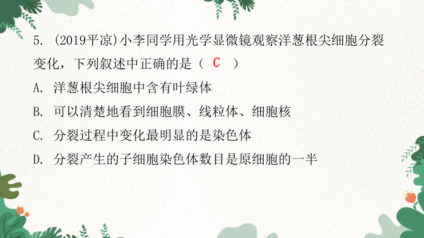 人教版生物七年级上册 第二单元生物体的结构层次章末总结第二章 细胞怎样构成生物体习题课件（共32张PPT）