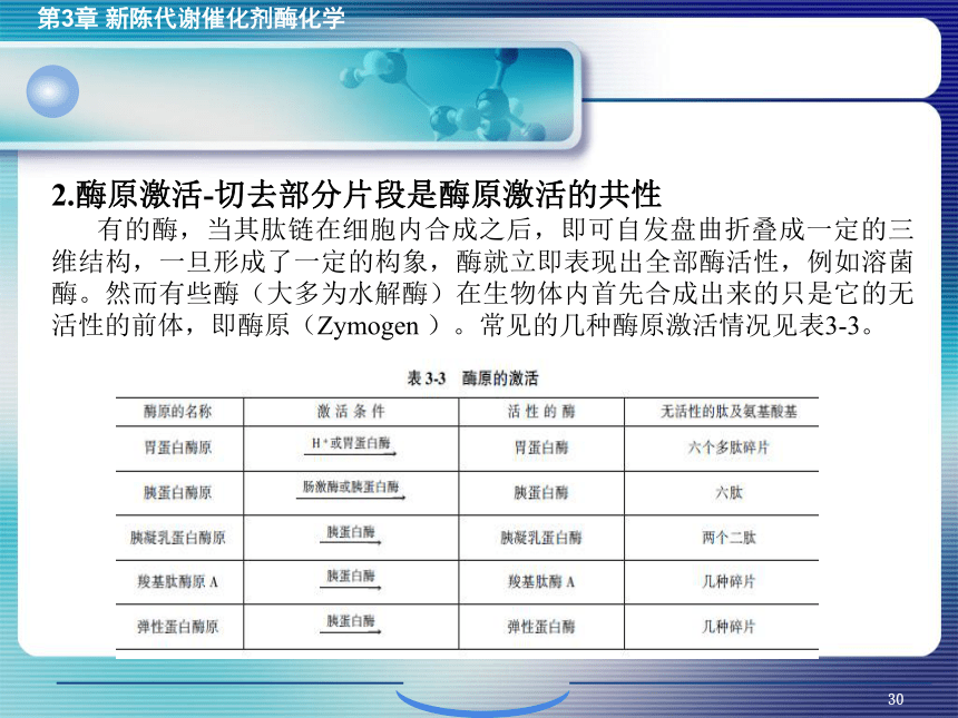 3.2酶的化学本质及结构功能特点 课件(共14张PPT)- 《环境生物化学》同步教学（机工版·2020）