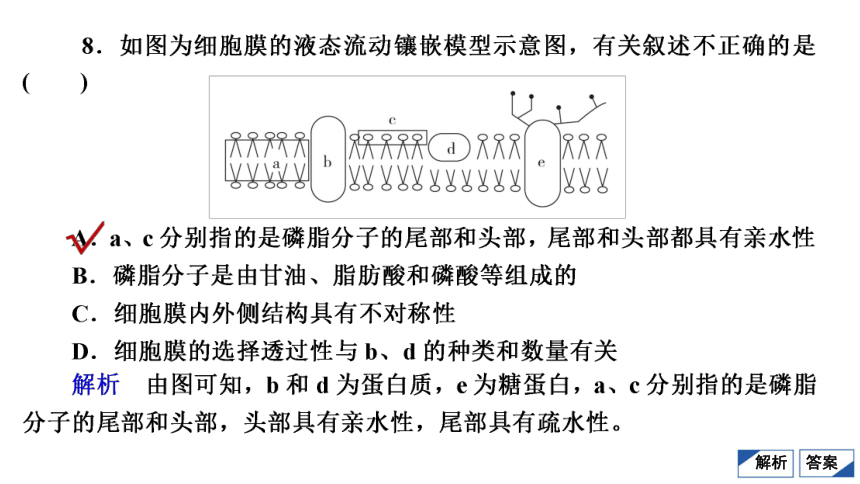 高考生物复习用卷：考点5 细胞核　细胞膜（共42张PPT）