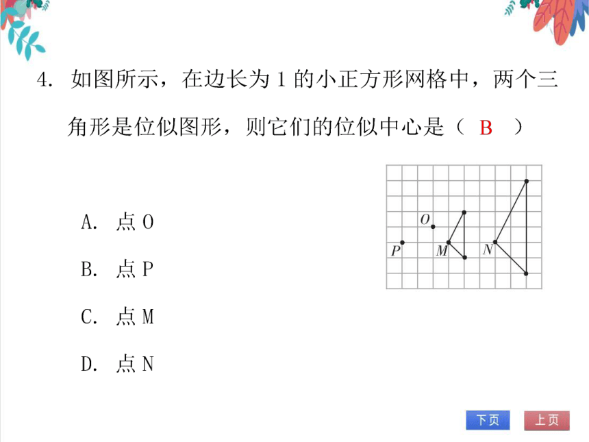 【北师大版】数学九年级（上）4.8.2 位似与坐标变换 习题课件