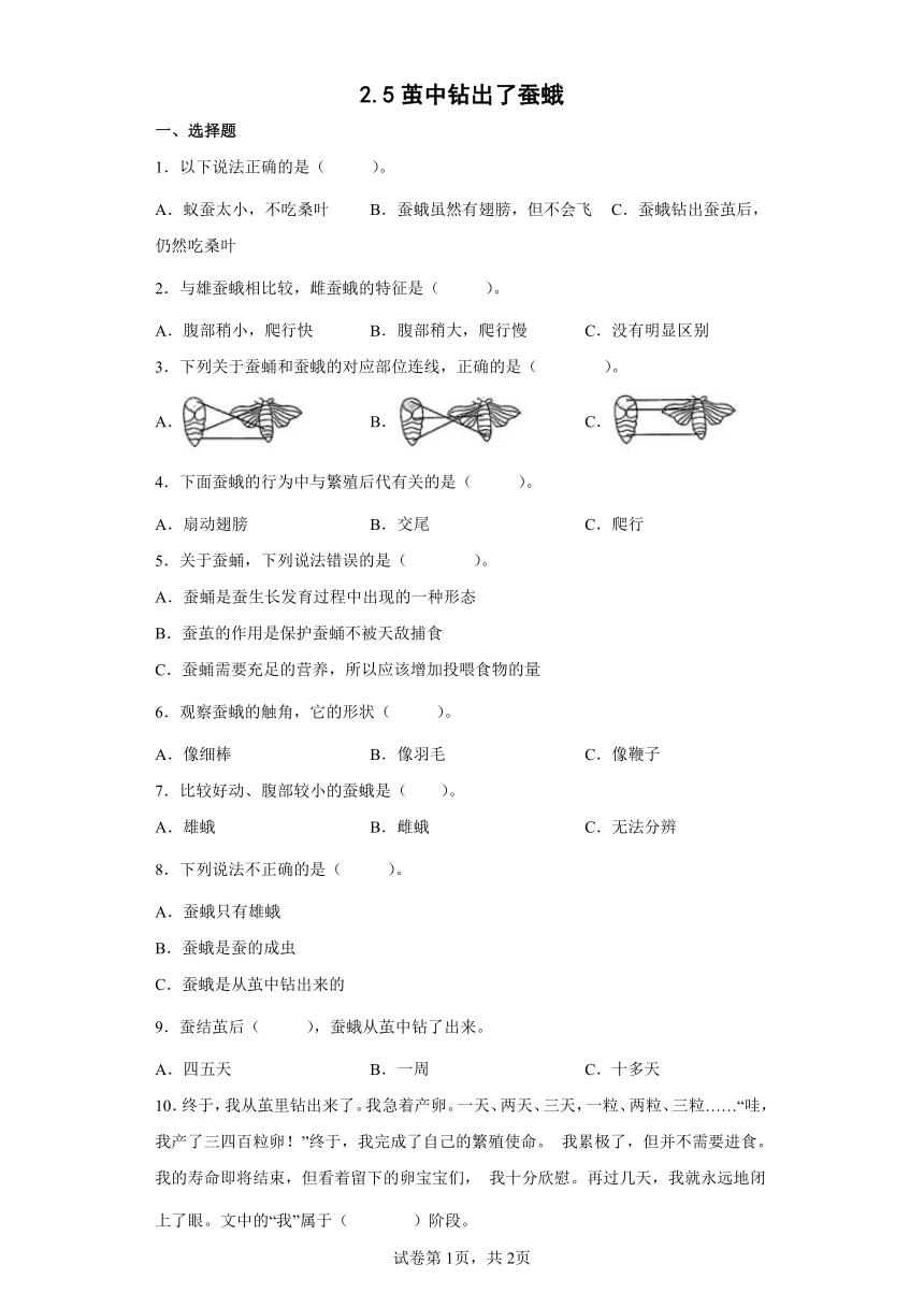 教科版（2017秋）三年级科学下册2.5茧中钻出了蚕蛾（同步练习）（含答案 ）