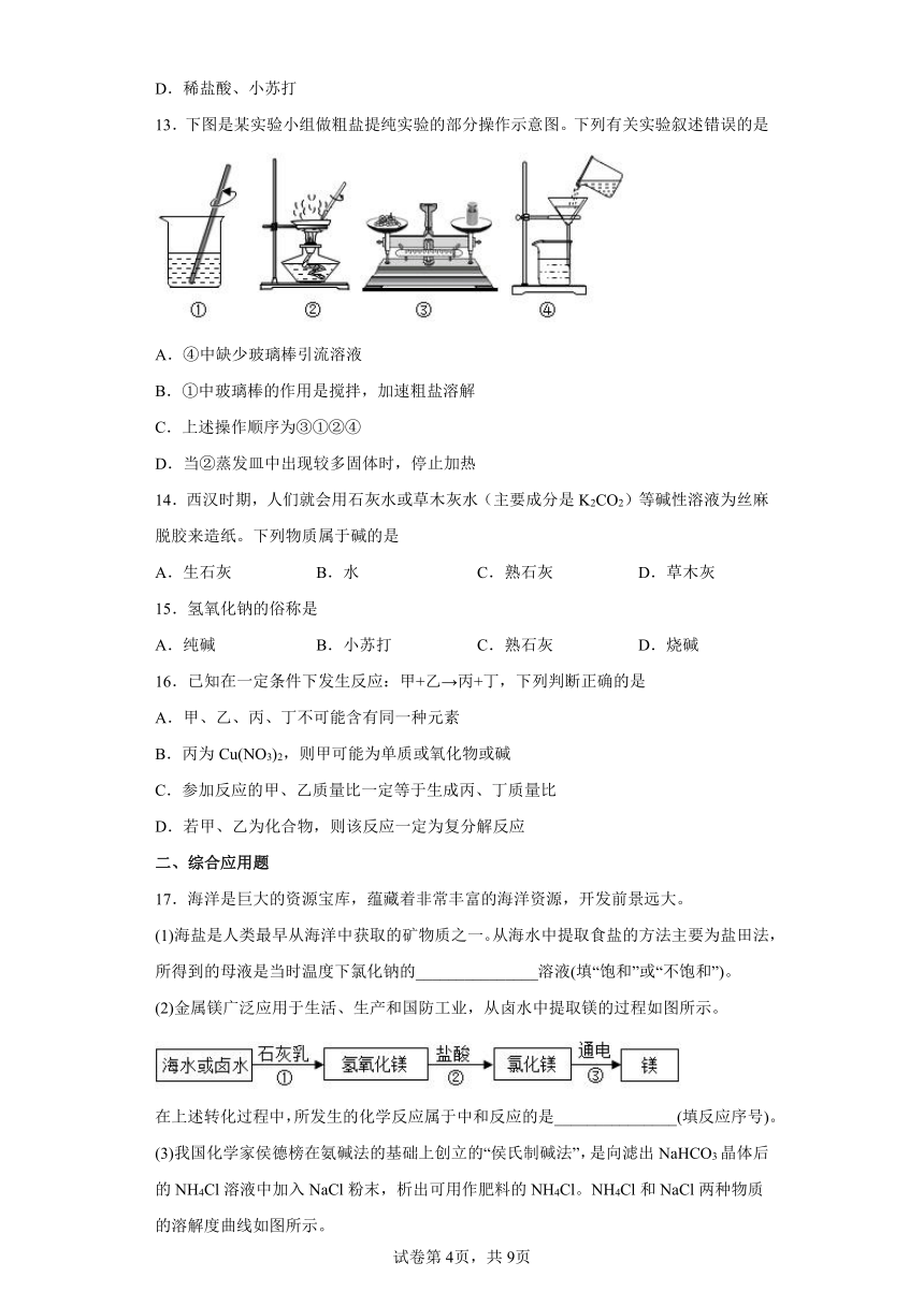 11.1生活中常见的盐同步练习-2021-2022学年九年级化学人教版下册（word版有答案）