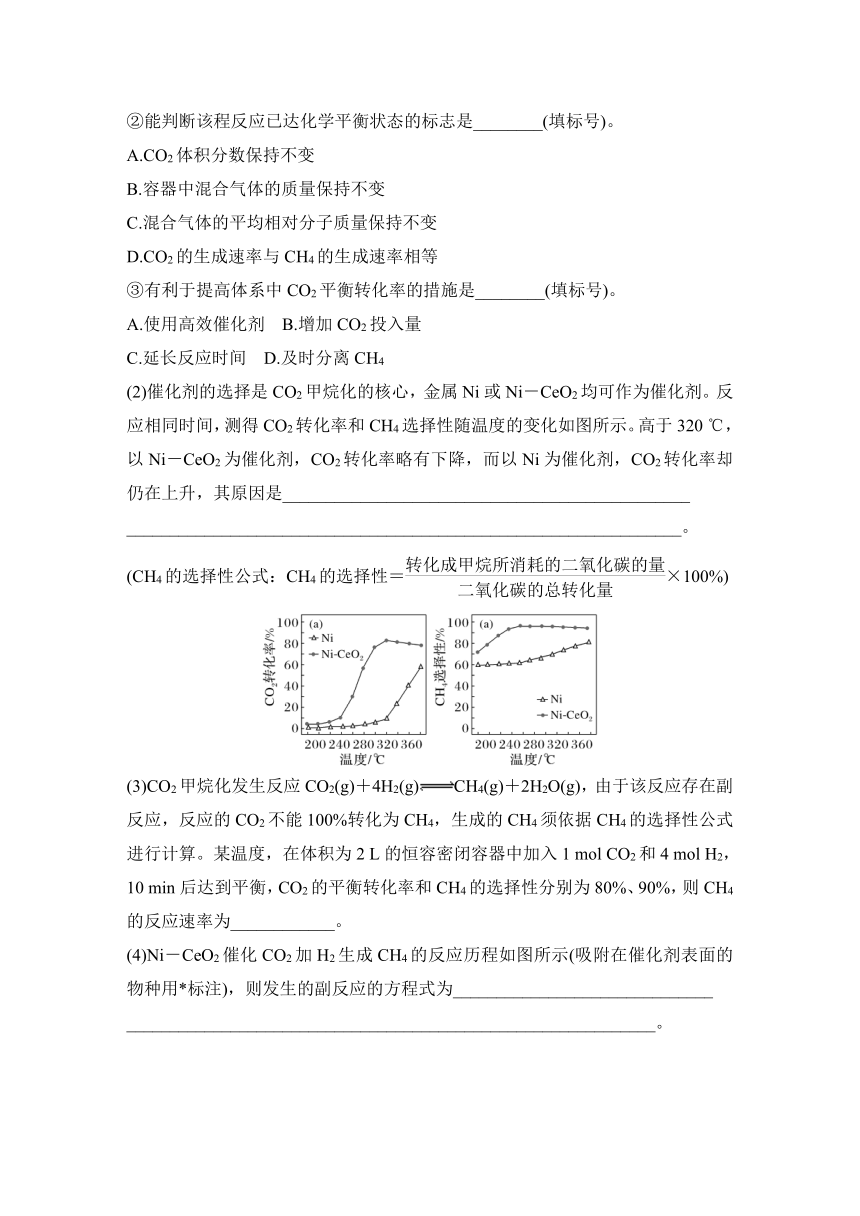 非选择题专练1  专项练增分提能（含解析）2024年高考化学二轮复习