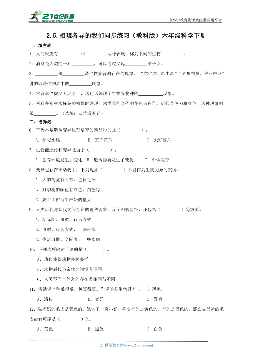 六年级科学下册2.5 相貌各异的我们 同步练习（含答案）