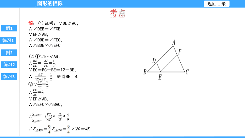 【大单元教学】鲁教版2023年八年级大单元 第九章图形的相似 课件（51张PPT）