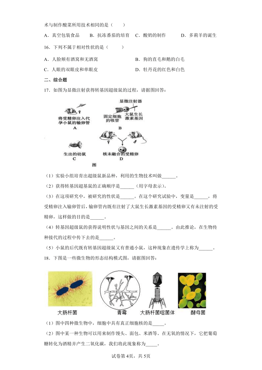 八年级下册7.2.1基因控制生物的性状 (word版  含答案）