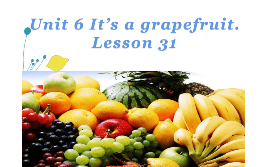 Unit6 It’s a grapefruit. Lesson 31 课件(共17张PPT)