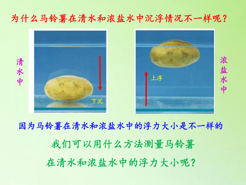 教科版五年级科学下册教学课件1.8探索马铃薯沉浮的原因(共16张PPT)