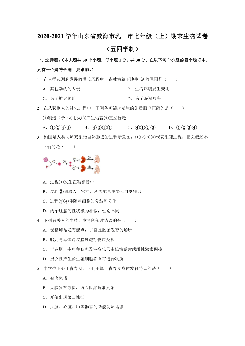 2020-2021学年山东省威海市乳山市七年级（上）期末生物试卷（五四学制）    解析版