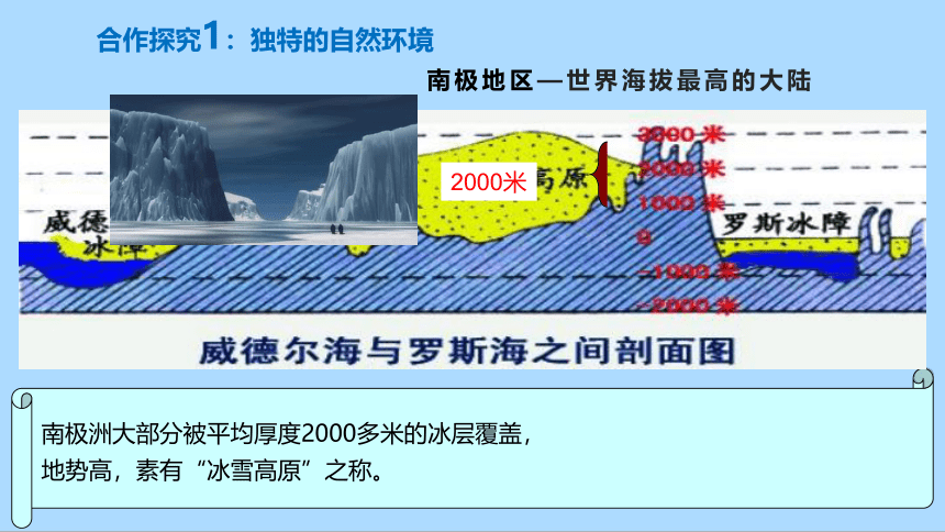 人教版地理七年级下册10.极地地区课件(共31张PPT)