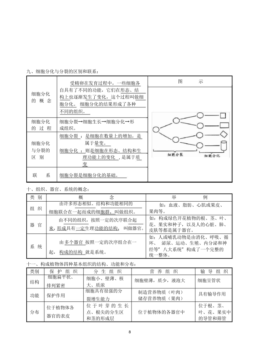 中考生物知识点总结（11个专题）（69节PPT）