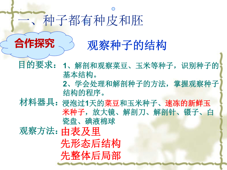 2022-2023学年北师大版生物学七年级上册 3.6.1.种子萌发形成幼苗  课件 (共46张PPT)