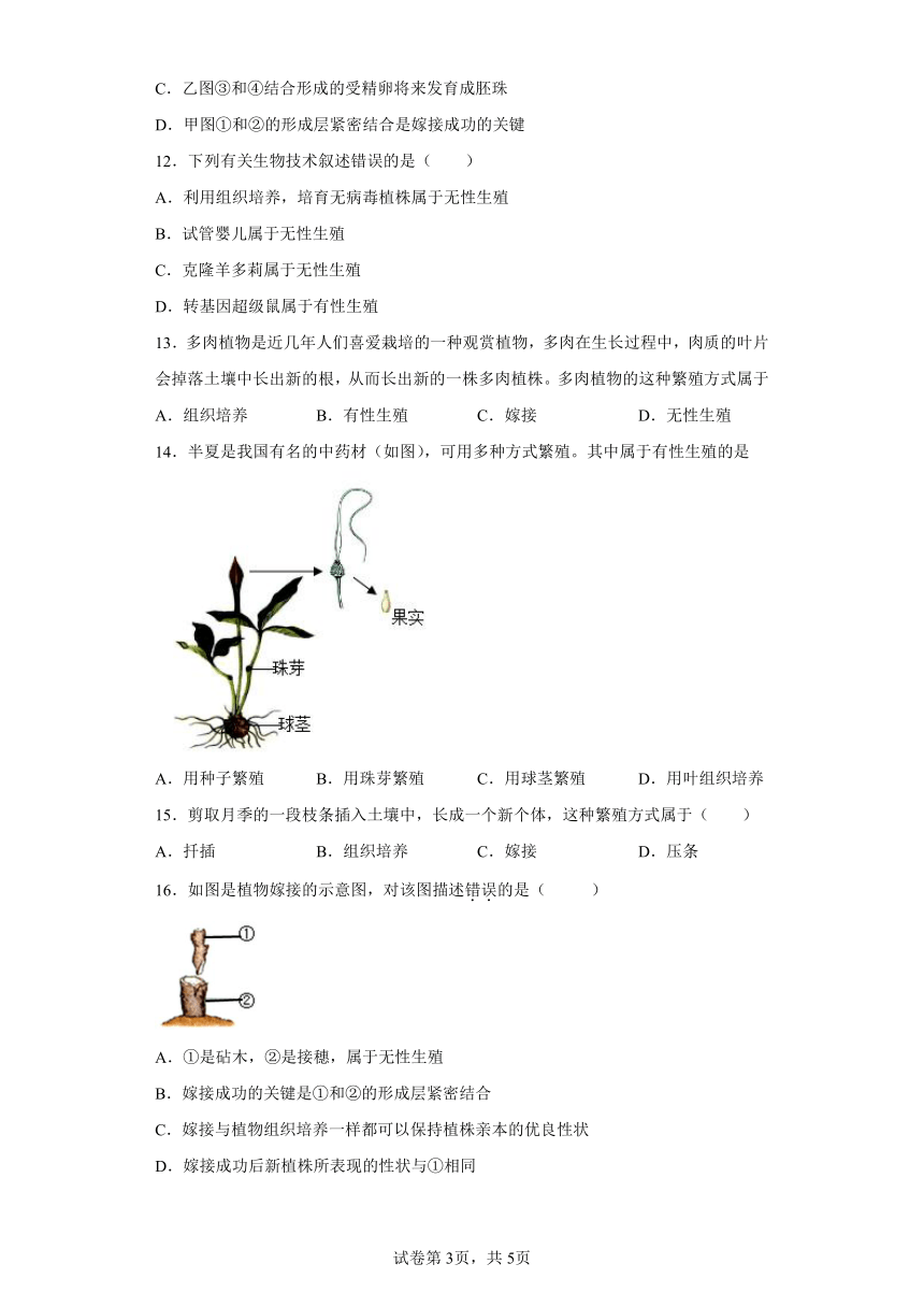人教版八年级下册7.1.1植物的生殖（含解析）