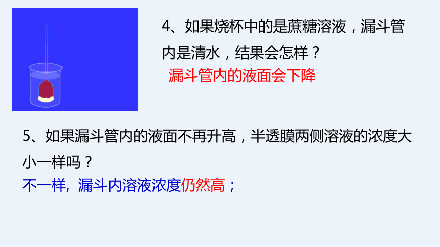 2021—2022学年 高一上学期 人教版（2019）必修1    4.1 被动运输   课件（33张）