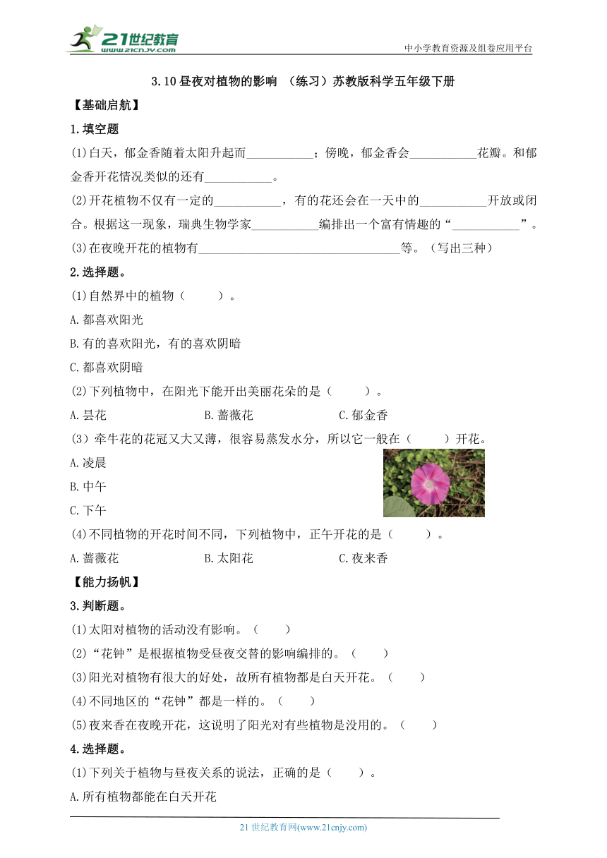 苏教版（2017秋）五年级科学下册3.10 昼夜对植物的影响 同步练习（含答案）