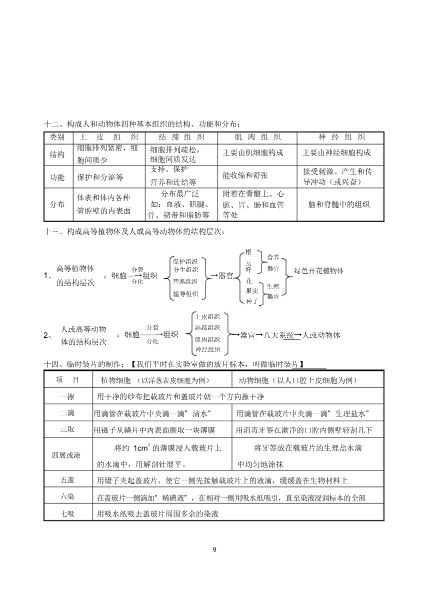 中考生物知识点总结（11个专题）（69节PPT）