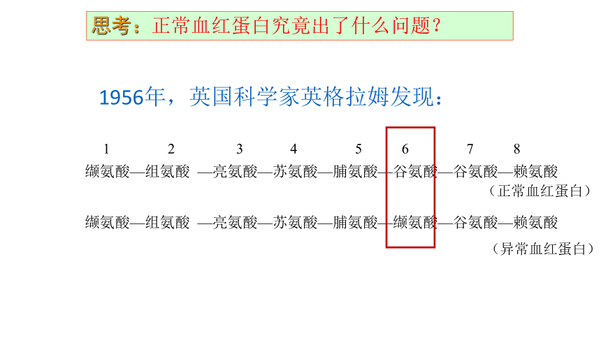 2021——2022学年高一下学期 生物人教版（2019） 必修2  5.1基因突变和基因重组  课件（25张PPT）