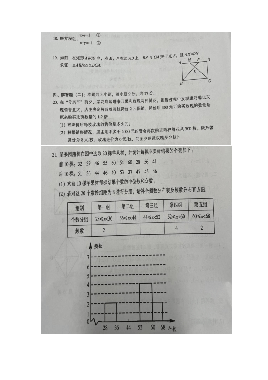 2023年广东省数学中考样卷（图片版，含答案）
