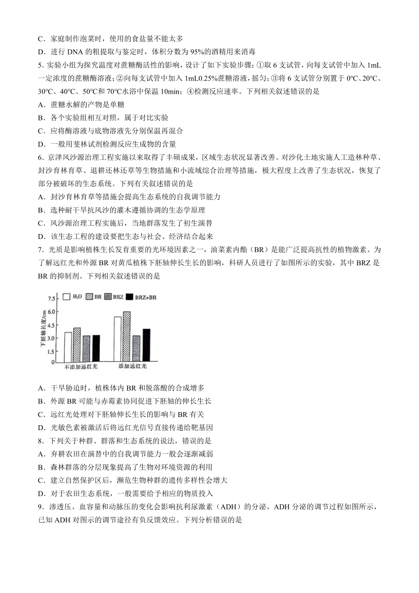 2024届广西南宁市高三下学期二模测试生物学试题（文字版含答案含选择题解析）