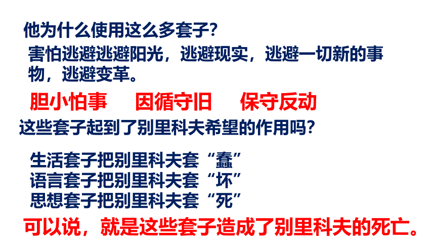 13.2《装在套子里的人》-课件（17张）-2020-2021学年高一语文统编版（2019）必修下册